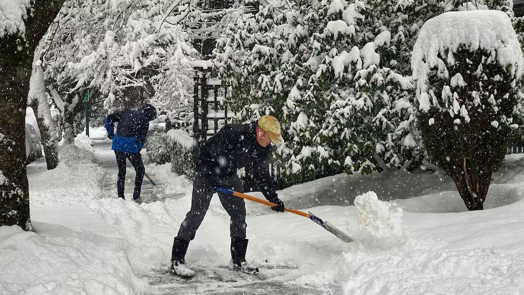 Crew shovelling snow off a Toronto sidewalk during a snowfall